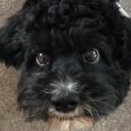 Vicky Ward - Facebook
