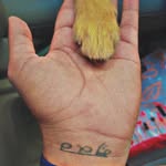 Vicky WaReh - @vicky_wareh - Instagram