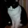 Vicki Warwick - @vickiwarwick - TikTok