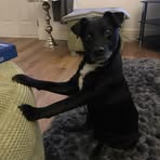 Vicky Warwick - Facebook