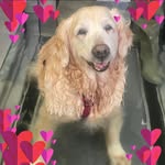 Vicky Webber - @vicky.webber.5 - Instagram