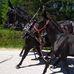 Vicky Weber - Facebook