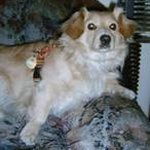 vicky weber - @vickyweber8824 - Instagram