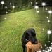Vickie Westbrook - Facebook