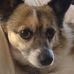Vickie Westfall Vulcano - Facebook