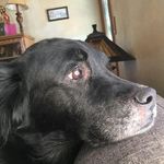 vicki wetzel - @tweetymamma66 - Instagram