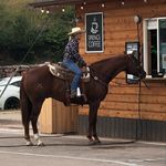 Vicky Wetzel - @springscoffeekiosk - Instagram
