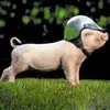 scooterpiglet - @vickywhisler - TikTok