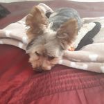 vicky whitaker - @vicky.whitaker - Instagram