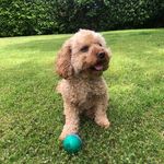 Vicki Whiting - @vickiwhiting7 - Instagram