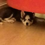 Vicki Whittaker - @rkjaitly - Instagram
