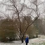 Vicky Wilcox Scheller - @5schellers - Instagram