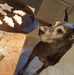 Vicky Wilder - Facebook