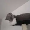 wilhelm Victoria - @vickywilhelm050604 - TikTok