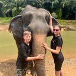 @vicky_wilkinson - Instagram