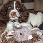 Vicky Wilkinson - @vickywb1 - Instagram