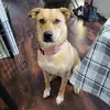 vickywilson745 - @vickywilson745 - TikTok