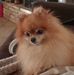 Vicki Winkler - Facebook