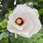 Vicky Winkler - @nature777love - Instagram