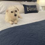 Vicki Frazier Woodard - @vickiwoodard - Instagram