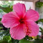 Vicky Woodard - @vickywoo1954 - Instagram