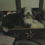 Vicki Wray - @wickiwray - Instagram