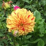 Vicki Wray Anderson - @vickiwrayanderson - Instagram