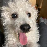 Vicky Wray - @vickys_vintage_in_the_bay - Instagram