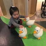 Vicky·Xue - @vickyxue0228 - Instagram