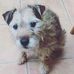 Vicky Yates - Facebook