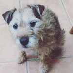 Vicky Yates - @vicky.yates.165 - Instagram
