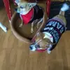 vickyyates822 - @vickyyates822 - TikTok
