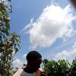 Victor Adams - @victoradams463 - Instagram