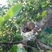 Victor Alamillo - Facebook