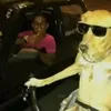 victorarmandofr - @victorarmandofr - TikTok