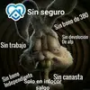 Victor Vasquez Arrambide - @victor.vasquez.ar - TikTok