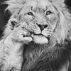 Victor Badillo - @victor.badillo27 - TikTok