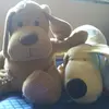 Victor Baggio - @pluto_greg - TikTok