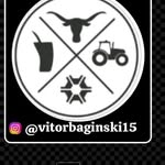Vitor Baginski - @vitorbaginski15 - Instagram