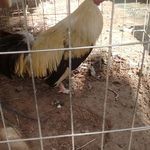 Victor Bahena - @bahena6374 - Instagram