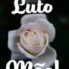 Victor Barros - @victorbarros5273 - TikTok