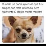 victor matias castillo bartels - @victormatiascastillobartels - Instagram