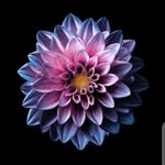 victor basil - @vic0_099 - Instagram