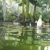 victorbauer96 - @victorbauer96 - TikTok