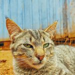 Victor Pavan Baumgartner - @baumgartner_fotografia - Instagram