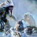 Victor Bell - Facebook