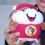 victor the beaver - @victorthebeaver - Instagram