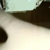Victor Beltre - @victor.beltre3 - TikTok