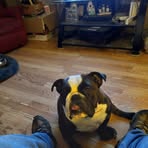 Victor Blanton - Facebook
