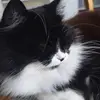 davidvictorbooth - @davidvictorbooth - TikTok